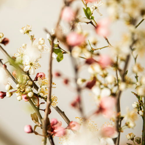 Påskebillede fra Colourbox